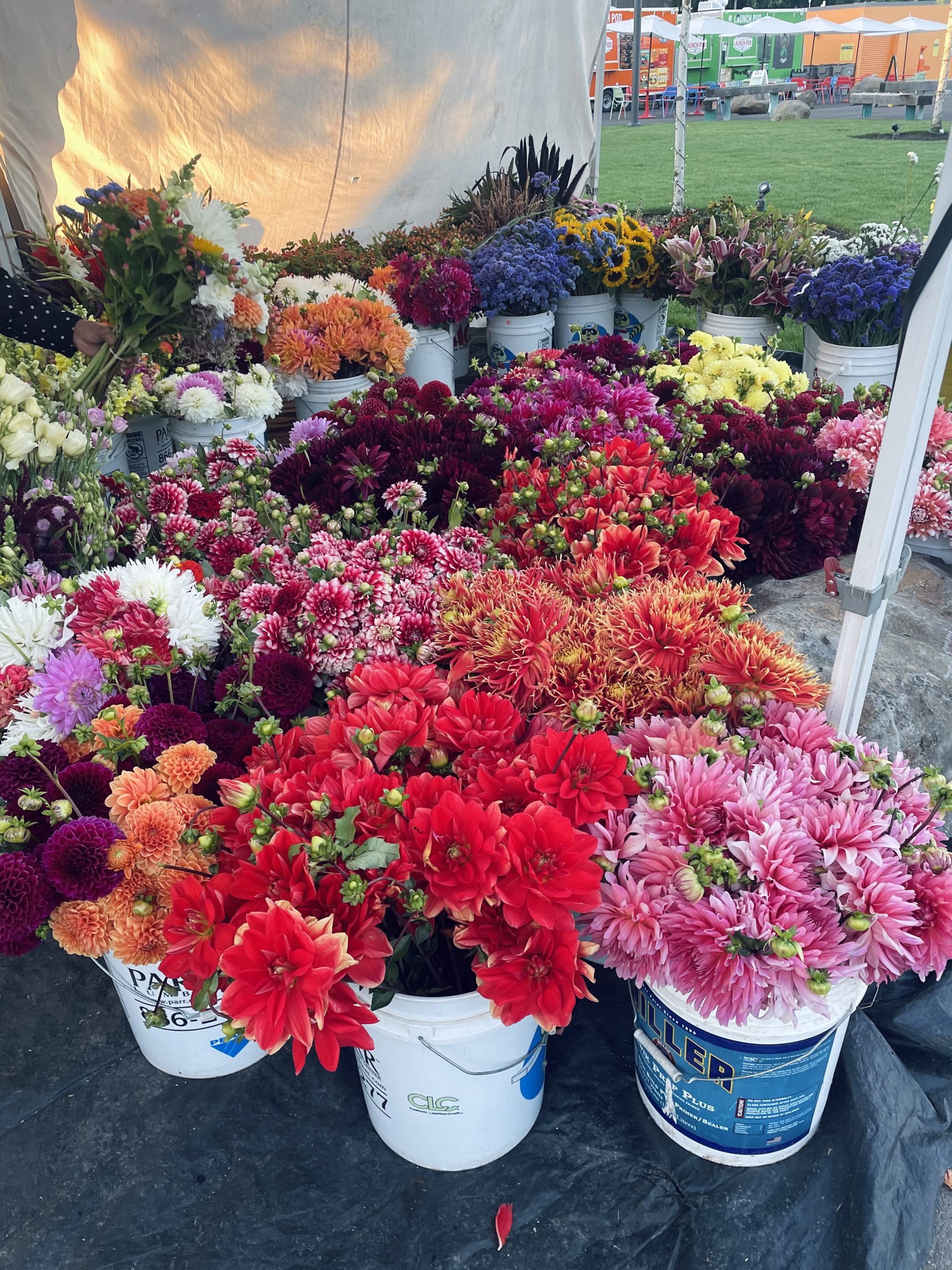 Flowers
